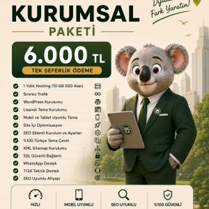 Kurumsal paket görseli, koala maskot ve fiyat bilgisi.